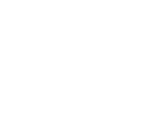 A+ English logo white